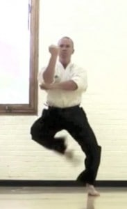 Okinawan Kempo